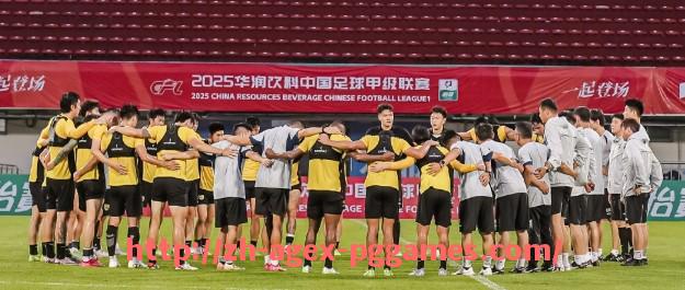 pg电子在线下载-英超水晶宫球队现役球员名单及战术核心介绍