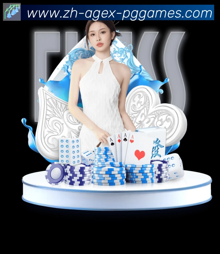 未来规划